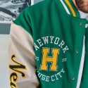 COLLEGE NEW YORK VERDE